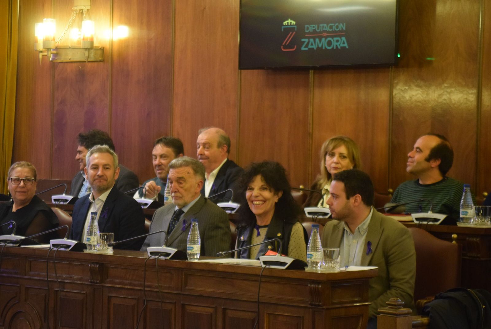 Pleno Diputación de Zamora