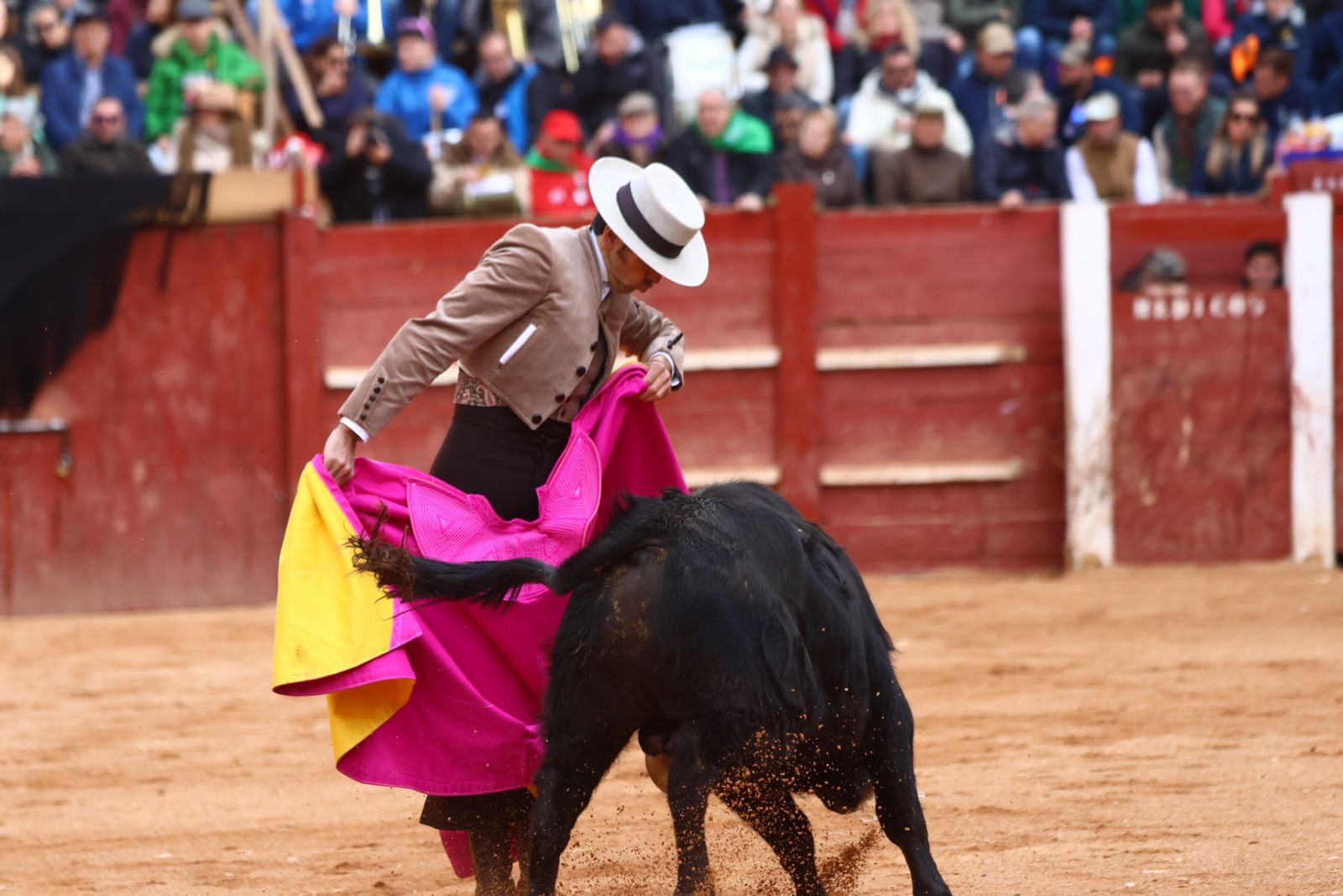 Festival del martes en el Carnaval del Toro 2026