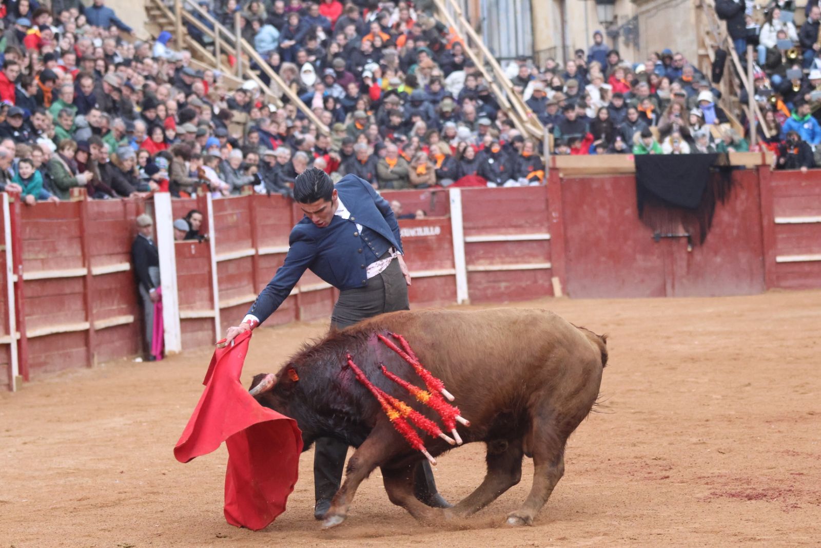 Novillada sin picadores del bolsín taurino y rejones en Ciudad Rodrigo