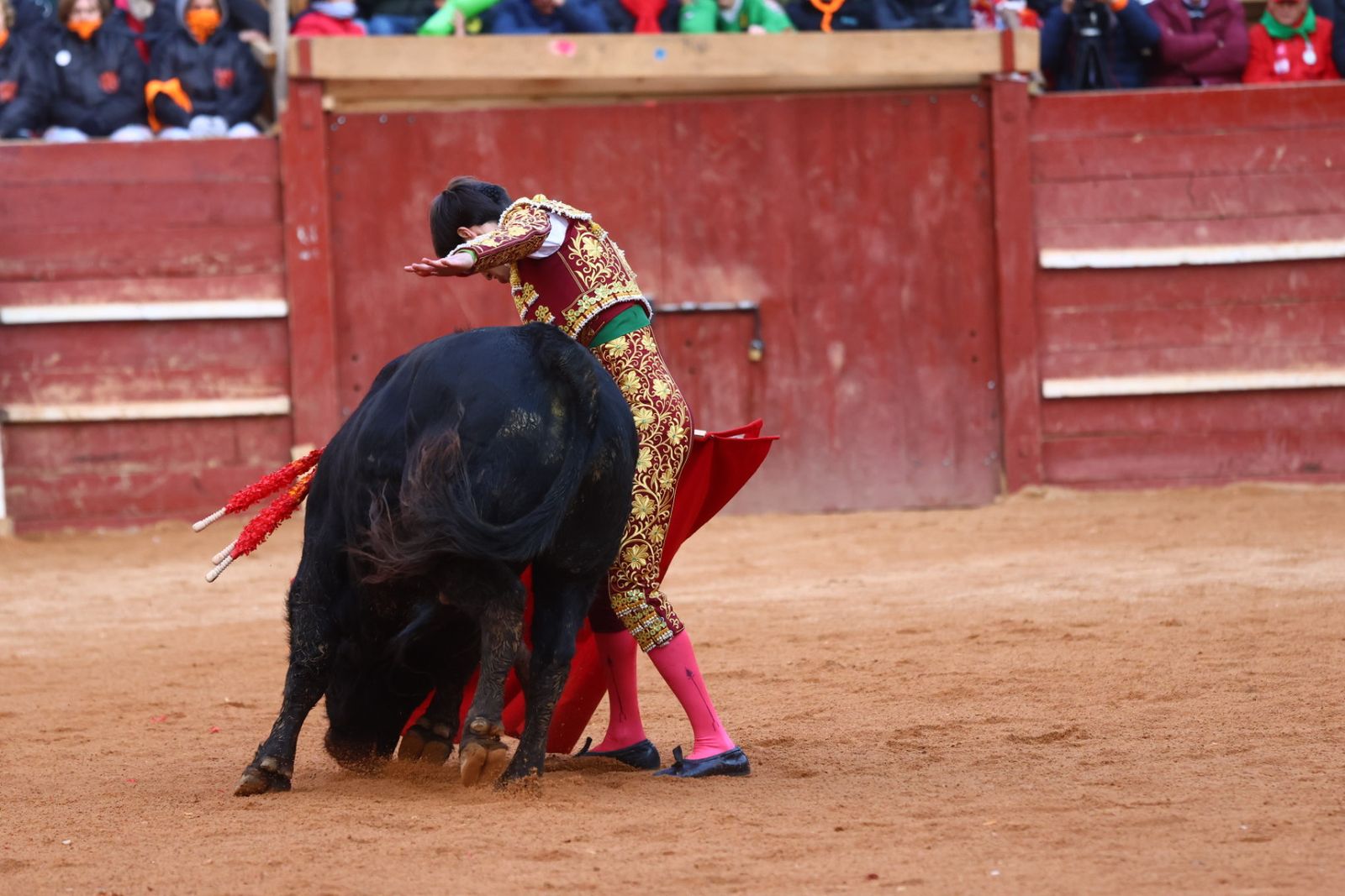 Novillada con picadores de lunes en el Carnaval del Toro de Ciudad Rodrigo 2026