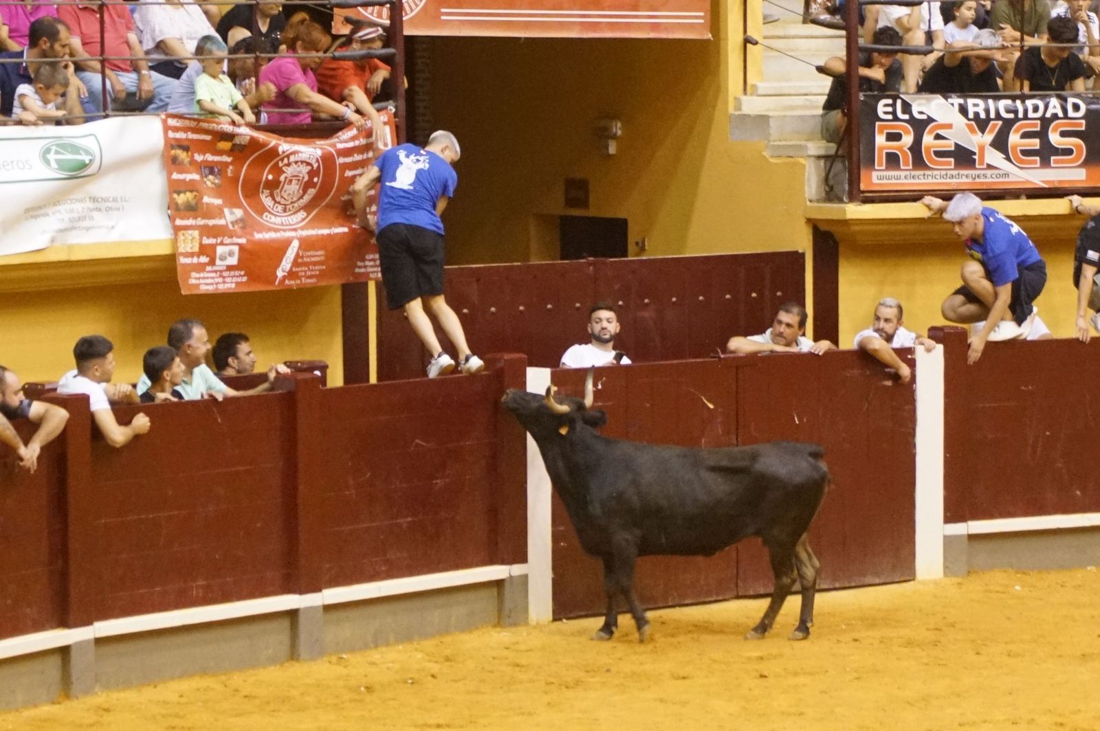 Multitudinario encierro nocturno en Alba de Tormes