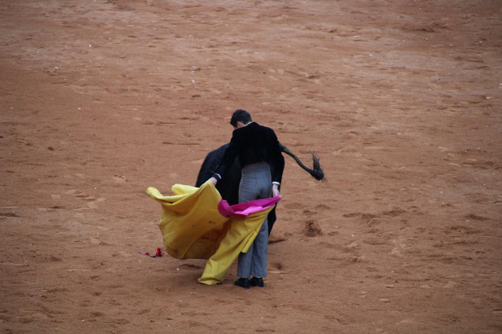 whatsapp-image-2025-03-02-at-18-55-17