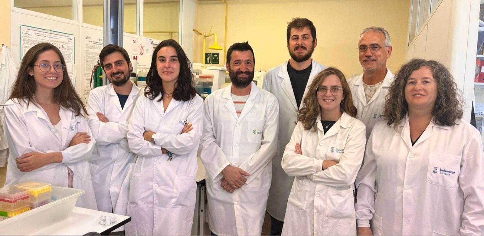 Investigadores de la UZ descubren una terapia eficaz frente a tumores de pulmón, basada en la vacuna viva de la tuberculosis, la BCG. Silvia Calvo, Miguel Araujo, Marta Casal, Nacho Aguiló, Eduardo Moreo, Claudia Guerrero, Santiago Uranga, Ana Belén Gómez - UNIVERSIDAD DE ZARAGOZA