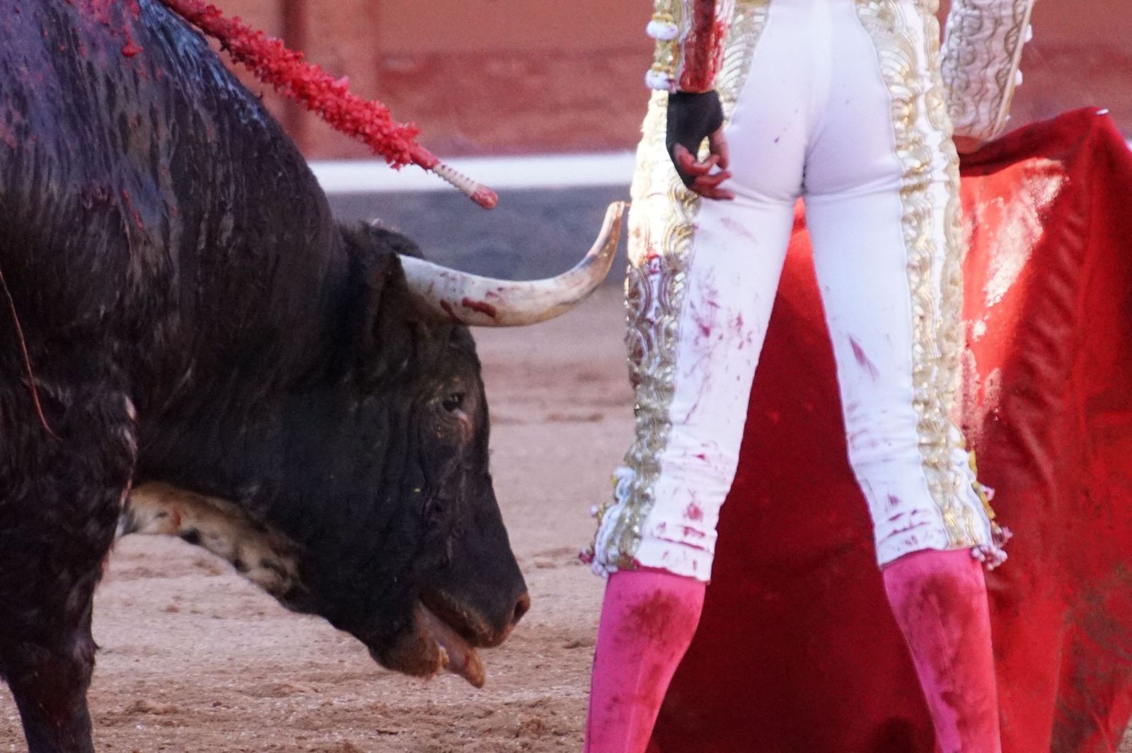 La corrida concurso para despedir la feria con Morante, Talavante y Borja Jiménez: imágenes de los mejores momentos en La Glorieta