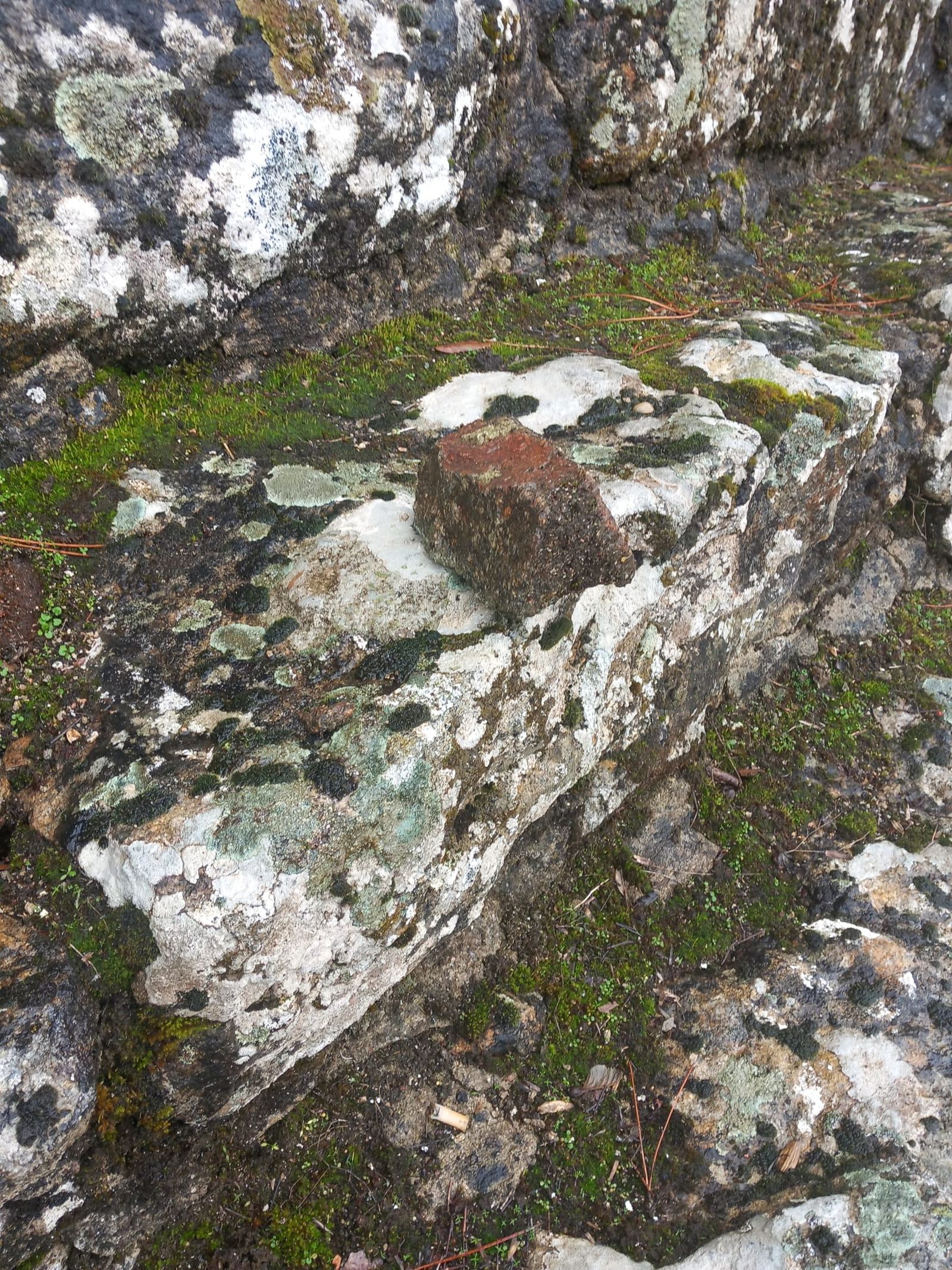 Plaza de Toros La Ancianita de Béjar  (17).jpeg