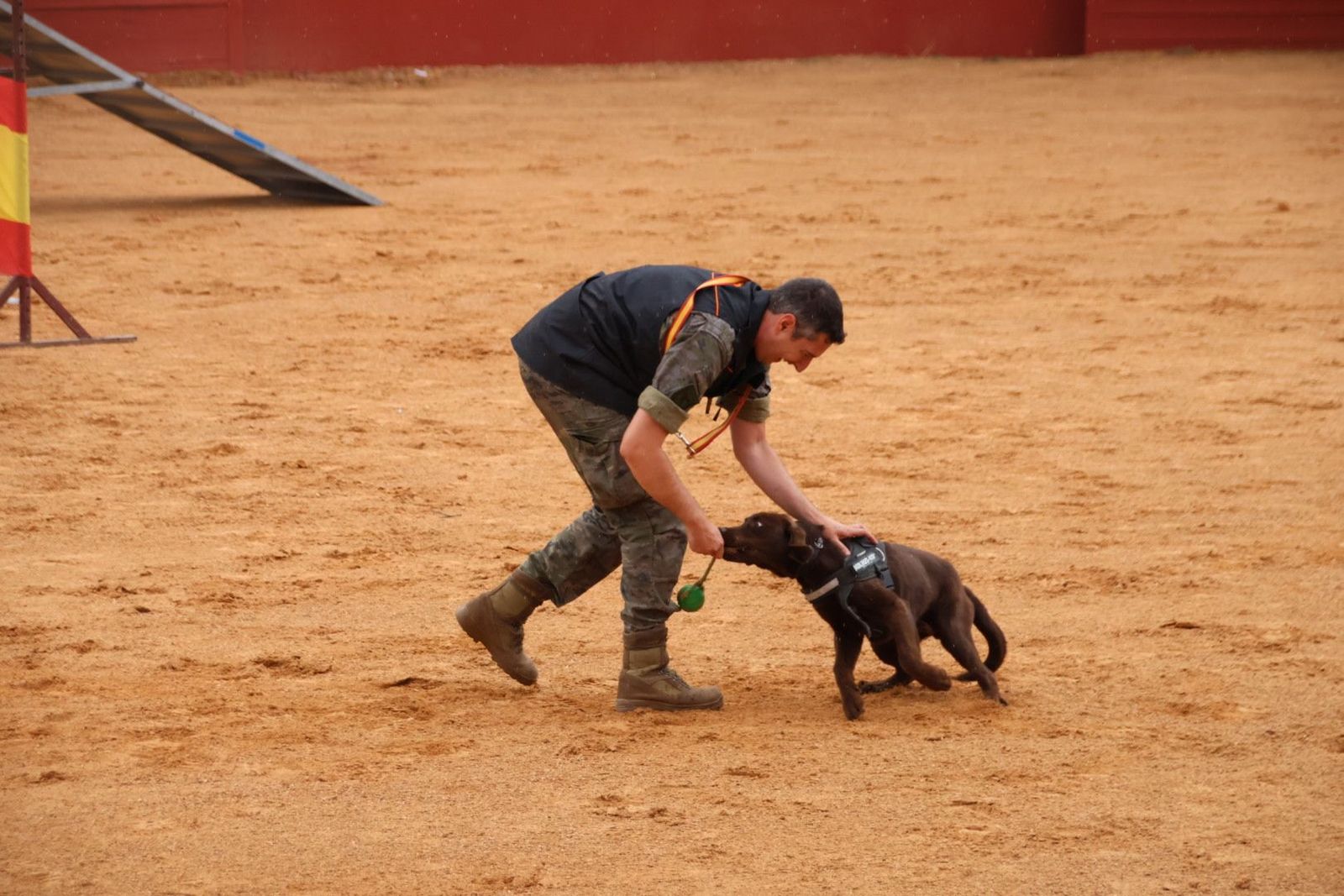 20230902114306-img-7183