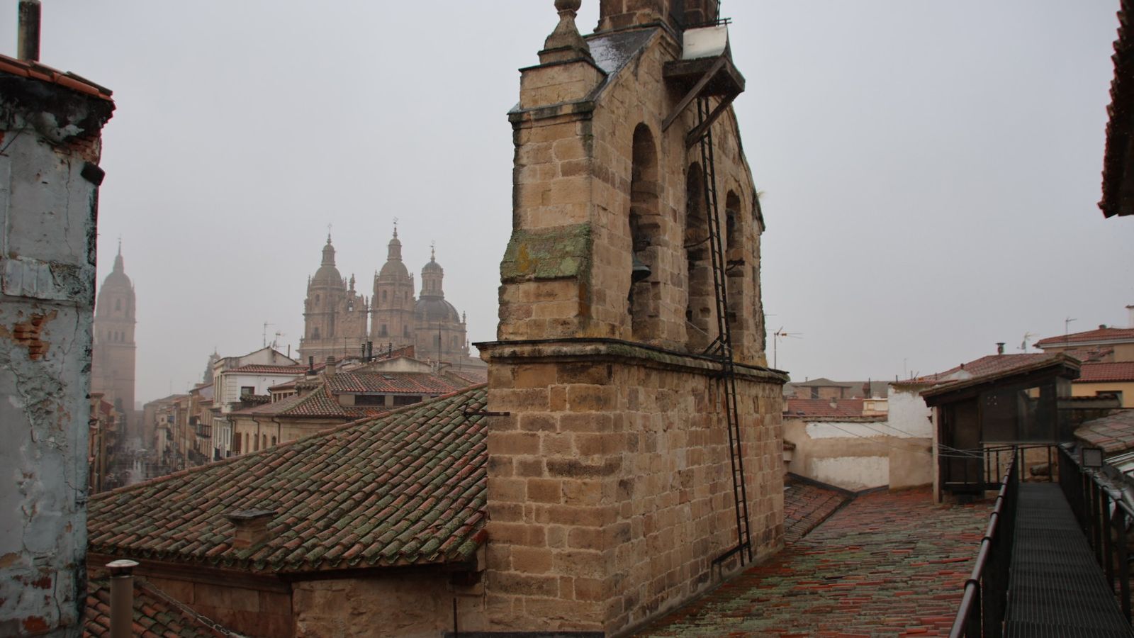 Visita a la Iglesia de San Martín