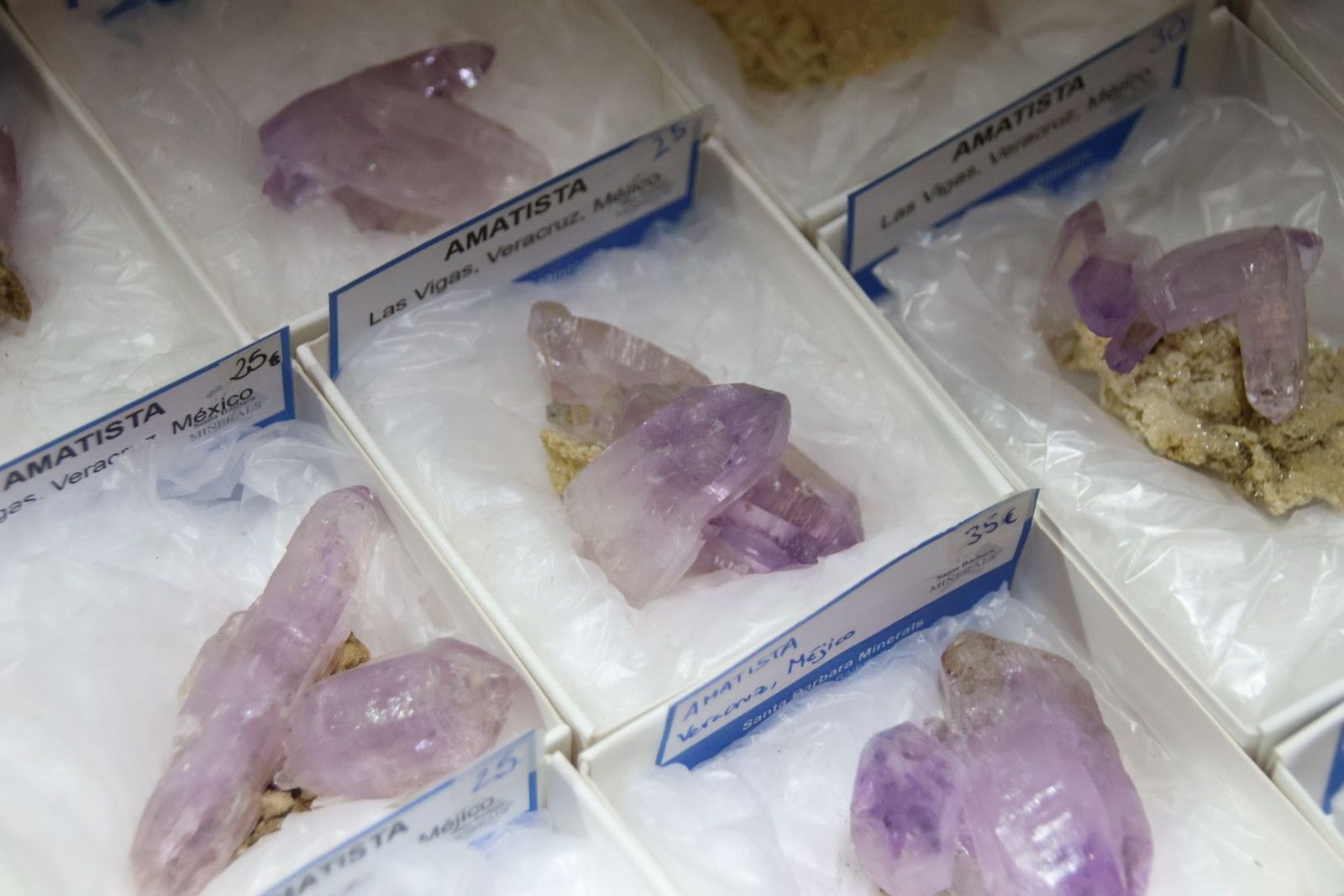 20240517103626-img-0420