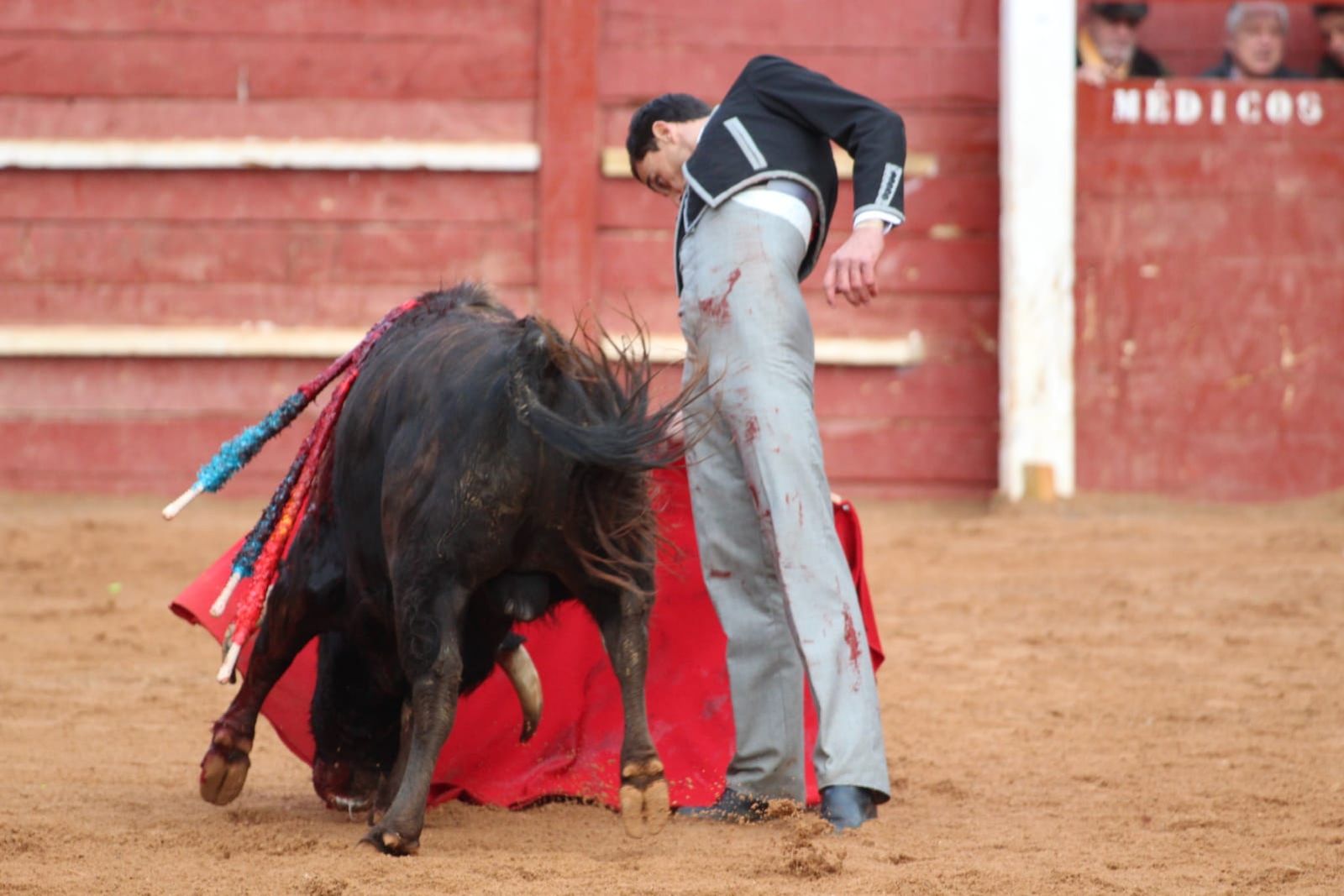 whatsapp-image-2023-02-21-at-17-52-17-1