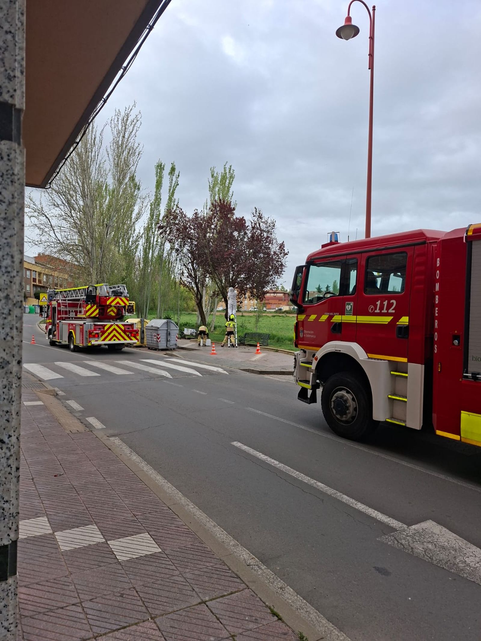 Hasta dos dotaciones de Bomberos acuden a Santa Marta por un enjambre de abejas