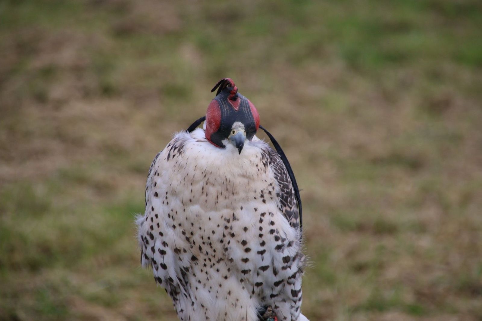 20240501102033-img-2860