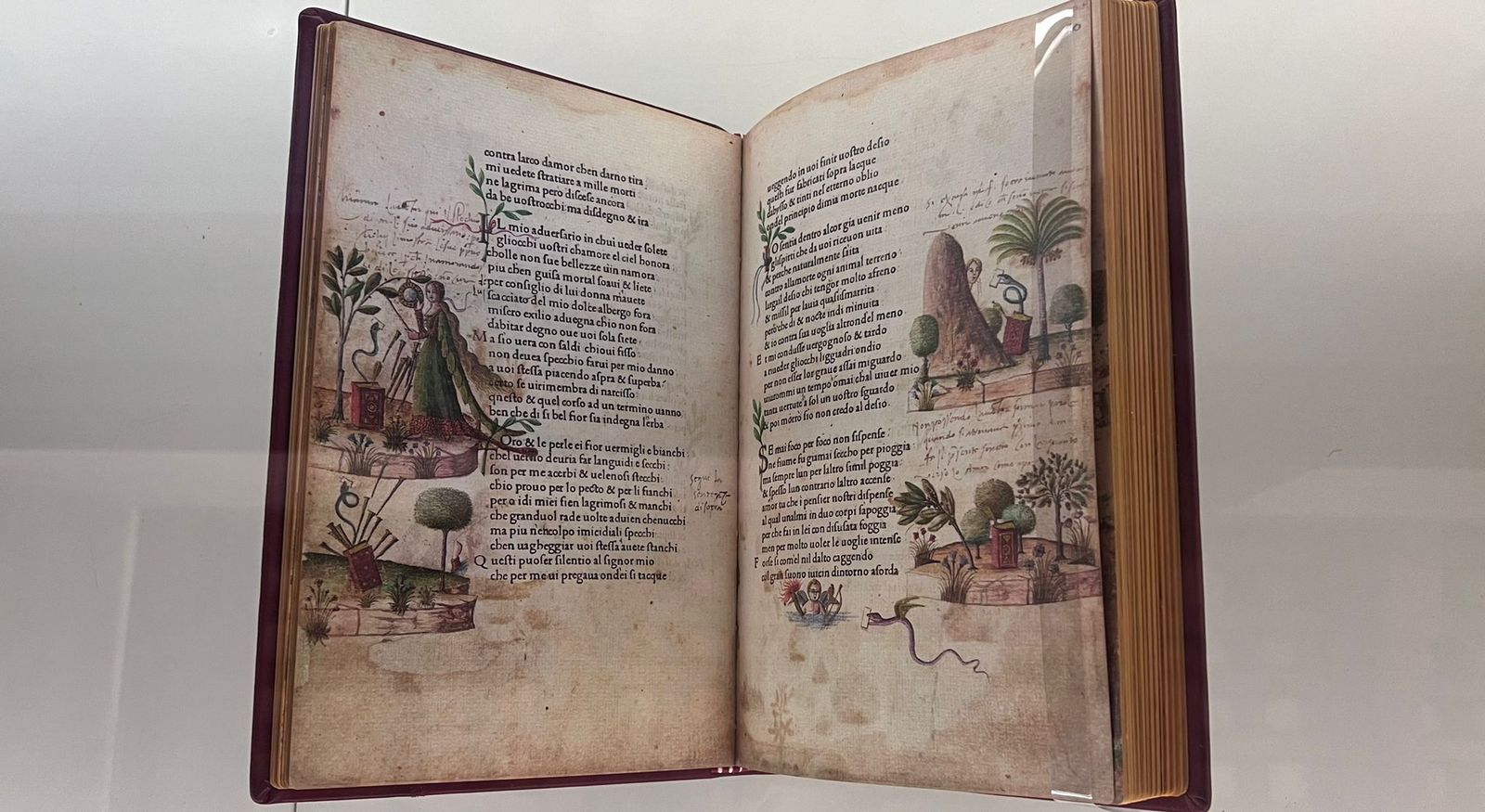 whatsapp-image-2024-07-19-at-11-17-29