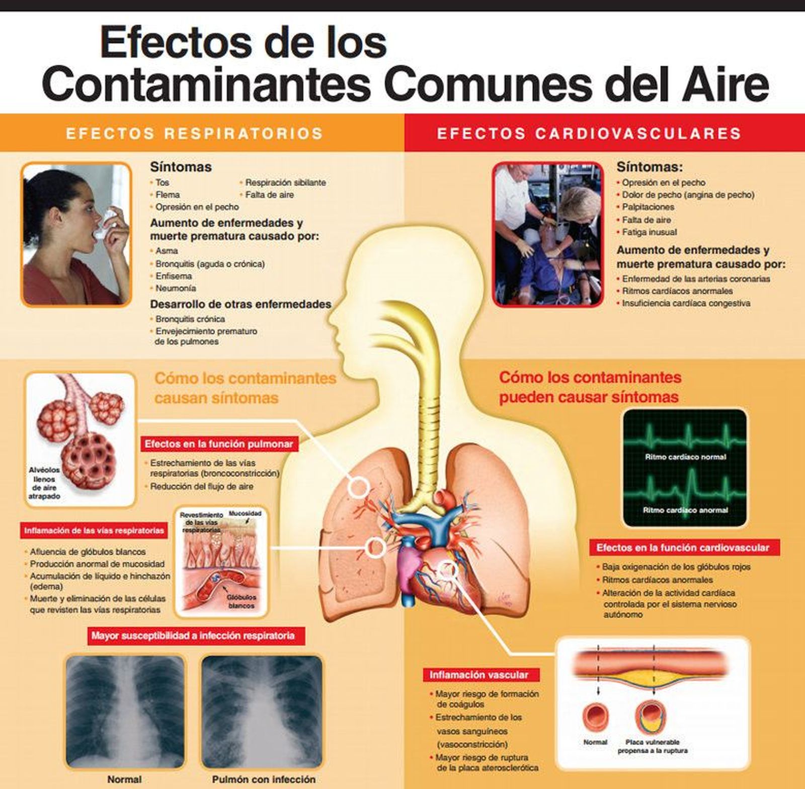 Efectos adversos sobre la salud de las personas