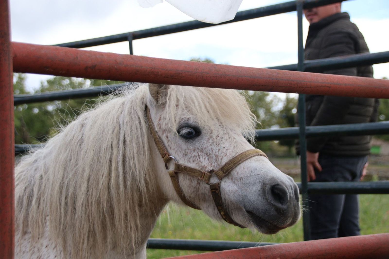 20240501102555-img-2882