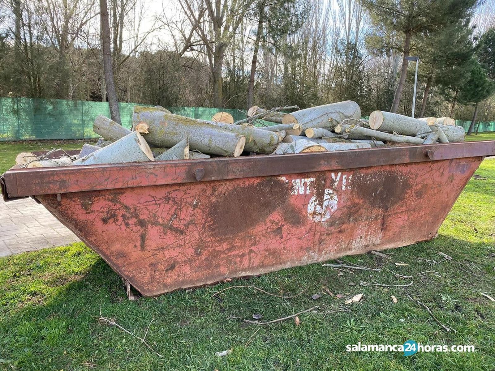 Árboles caídos en la Ciudad Deportiva de La Aldehuela (2) Árboles caídos en la Ciudad Deportiva de La Aldehuela (2)