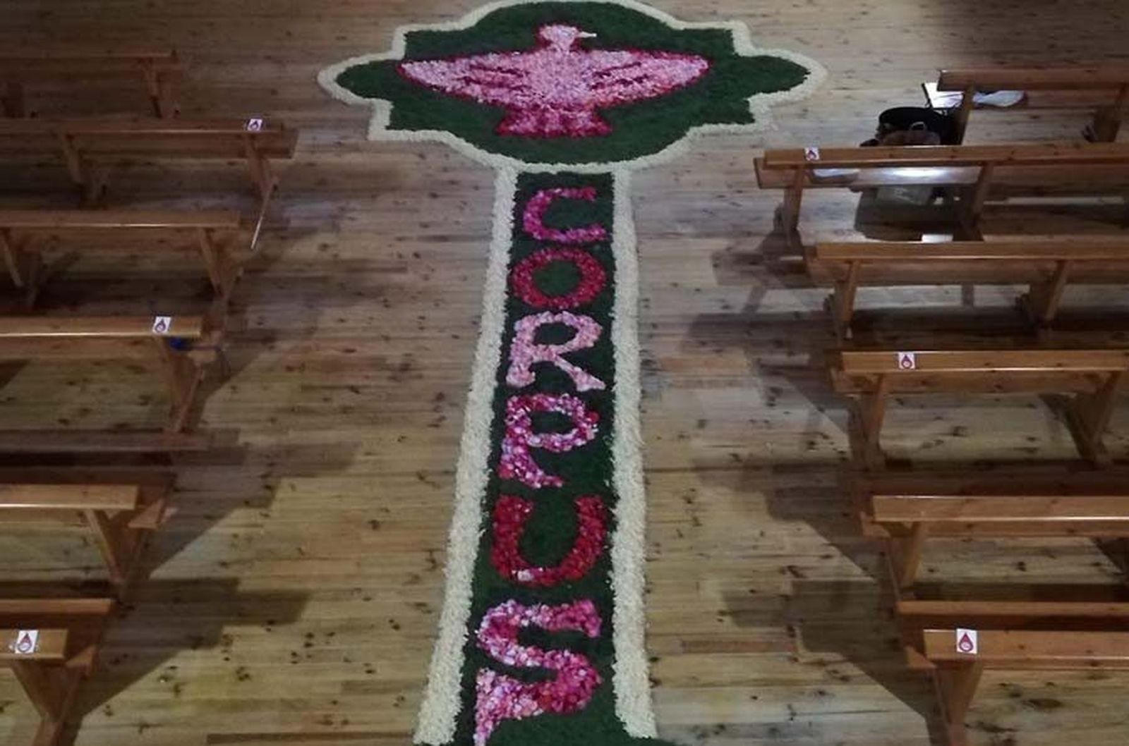 WhatsApp Image 2020 06 13 at 19.57.03 (2)