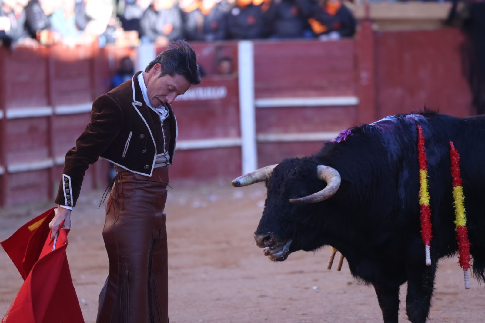 Festival taurino del Sábado en el Carnaval del Toro 2026 de Ciudad Rodrigo