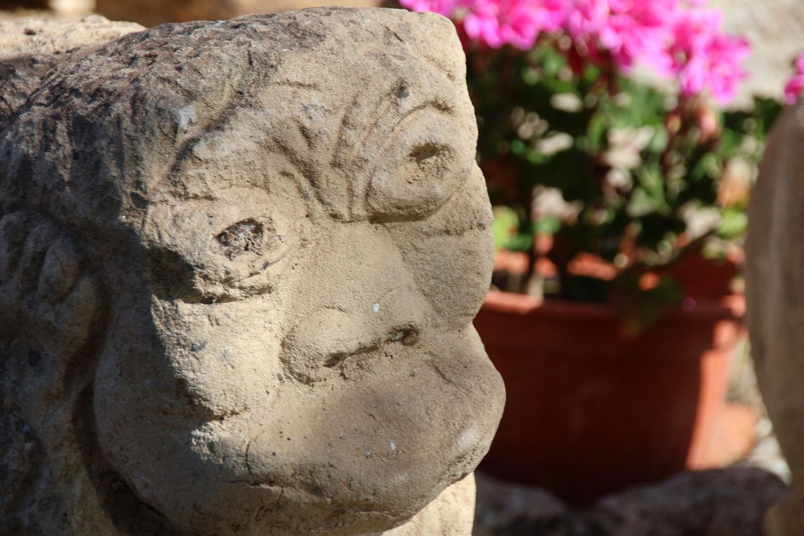 20230614092611-img-2662