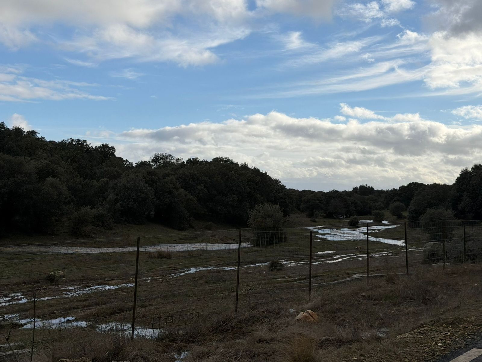 El campo anegado de agua en la zona del Campo Charro