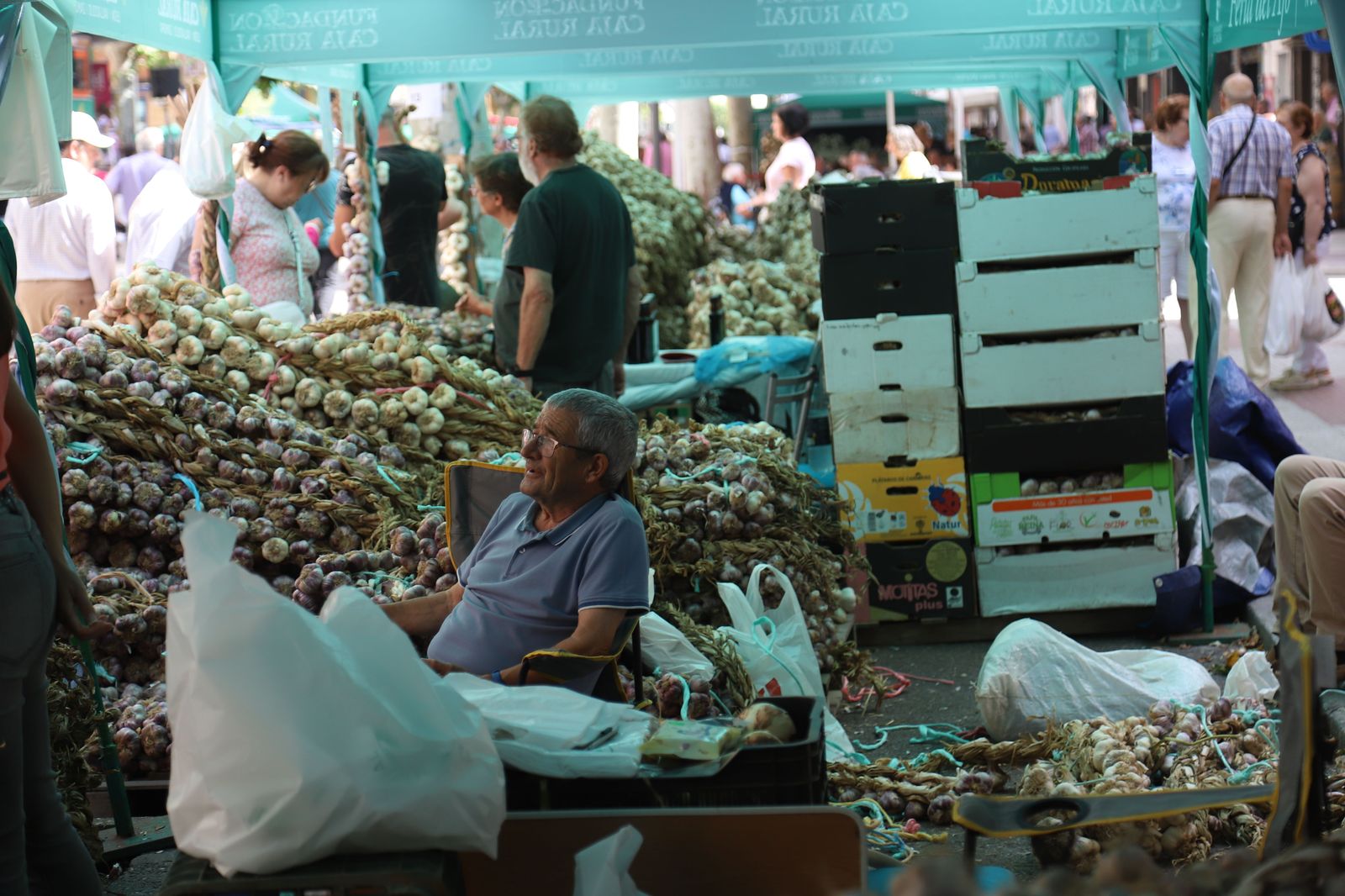 Feria del Ajo de San Pedro 2024 Fotos: María Lorenzo