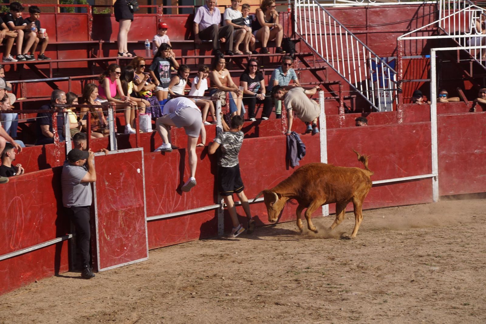 capea-fiestas-de-carrascal-de-barregas-16