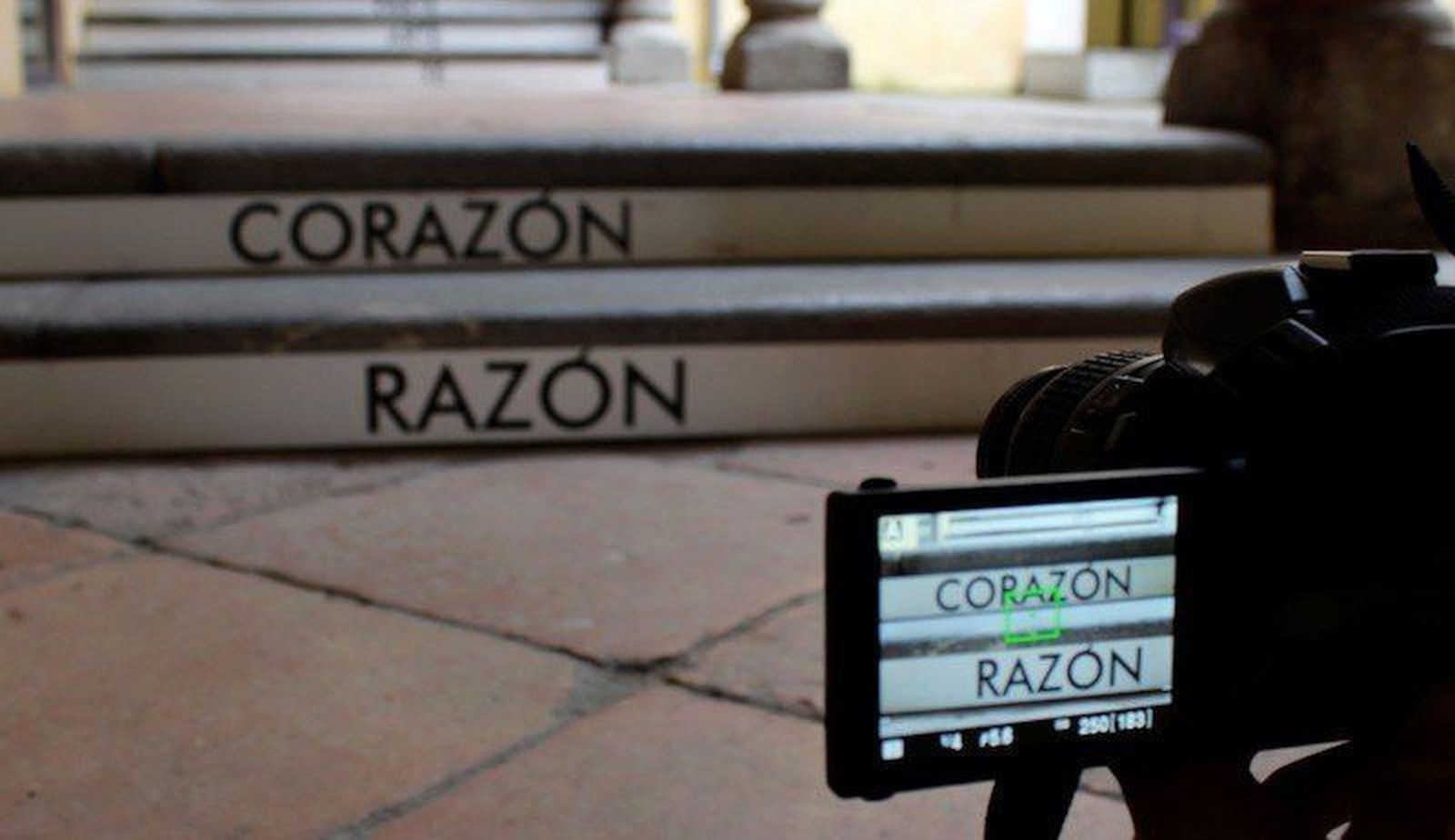 La Junta impulsa el emprendimiento cultural entre los jóvenes con el proyecto ‘A la sombra del árbol’