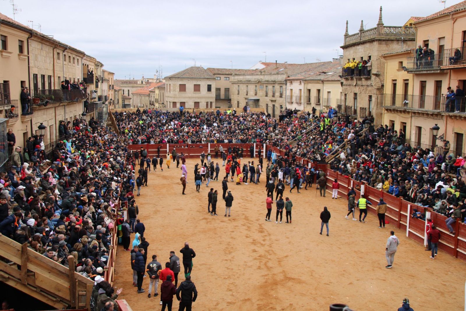 whatsapp-image-2025-03-01-at-13-18-37-3