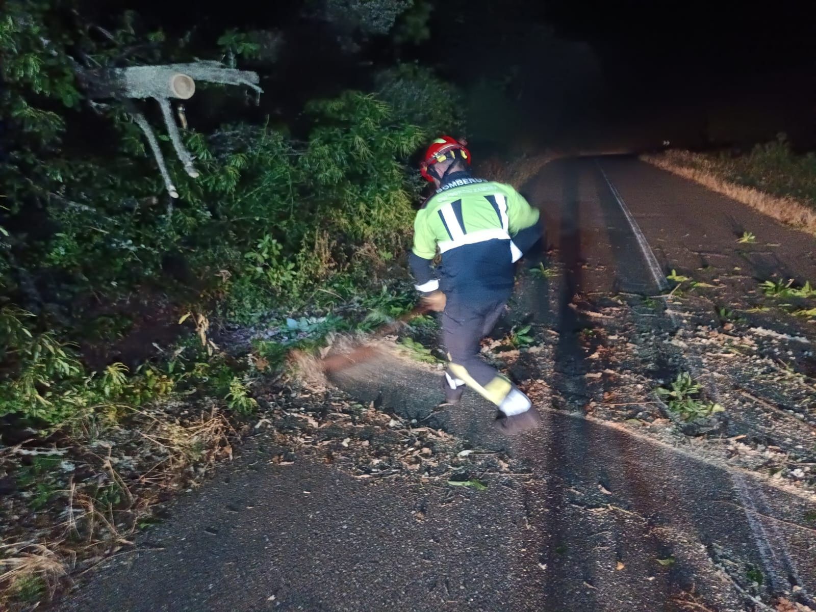 Los bomberos intervienen para retirar un árbol caído que obstaculizaba el tráfico