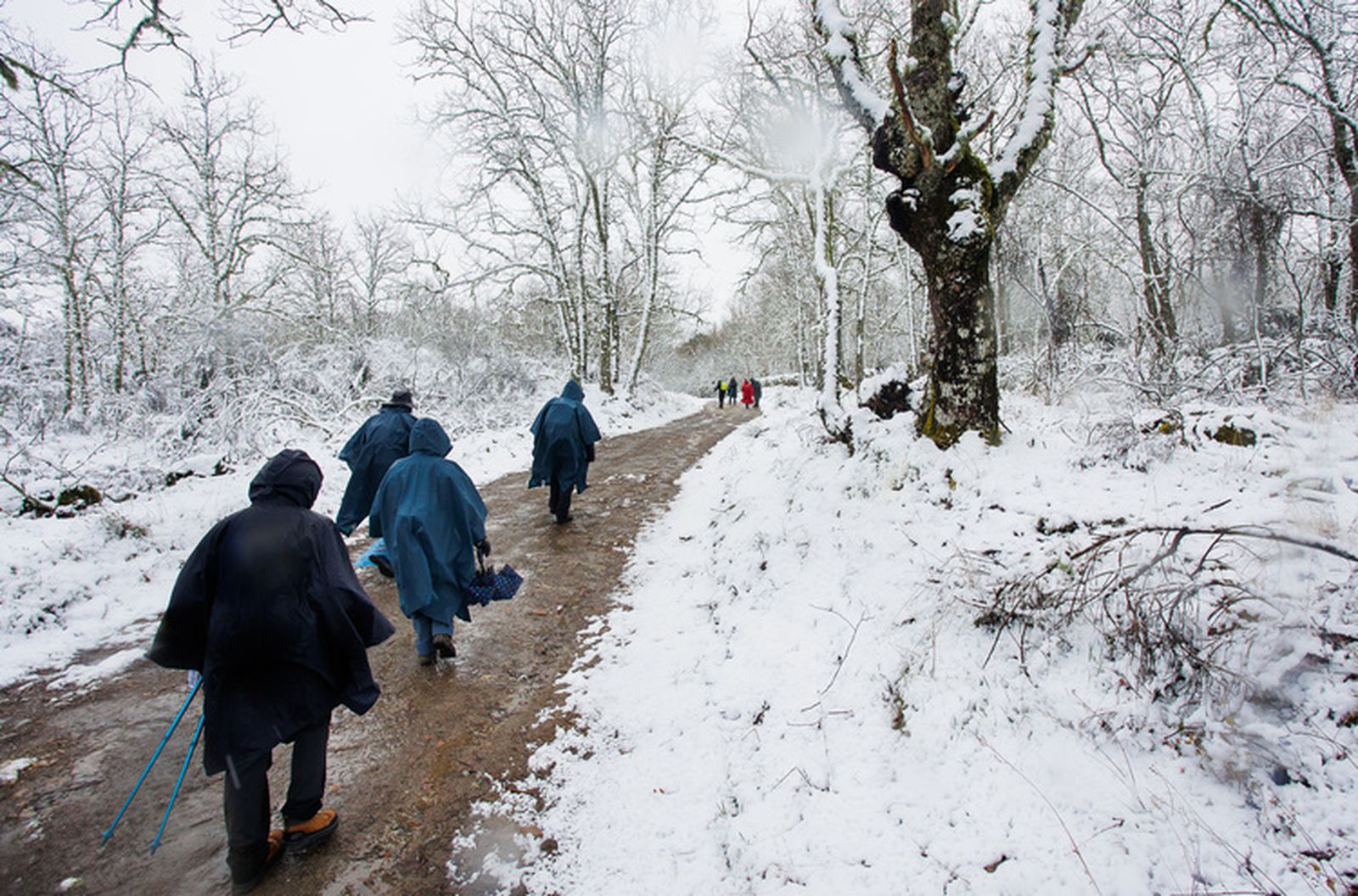 La nieve hace acto de presencia en el sur de la provincia de Salamanca