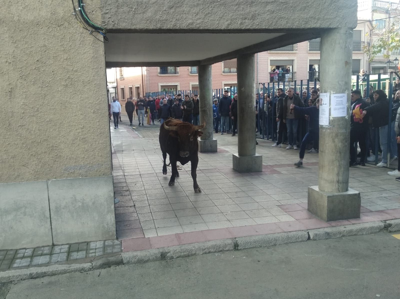 whatsapp-image-2022-12-10-at-13-55-04