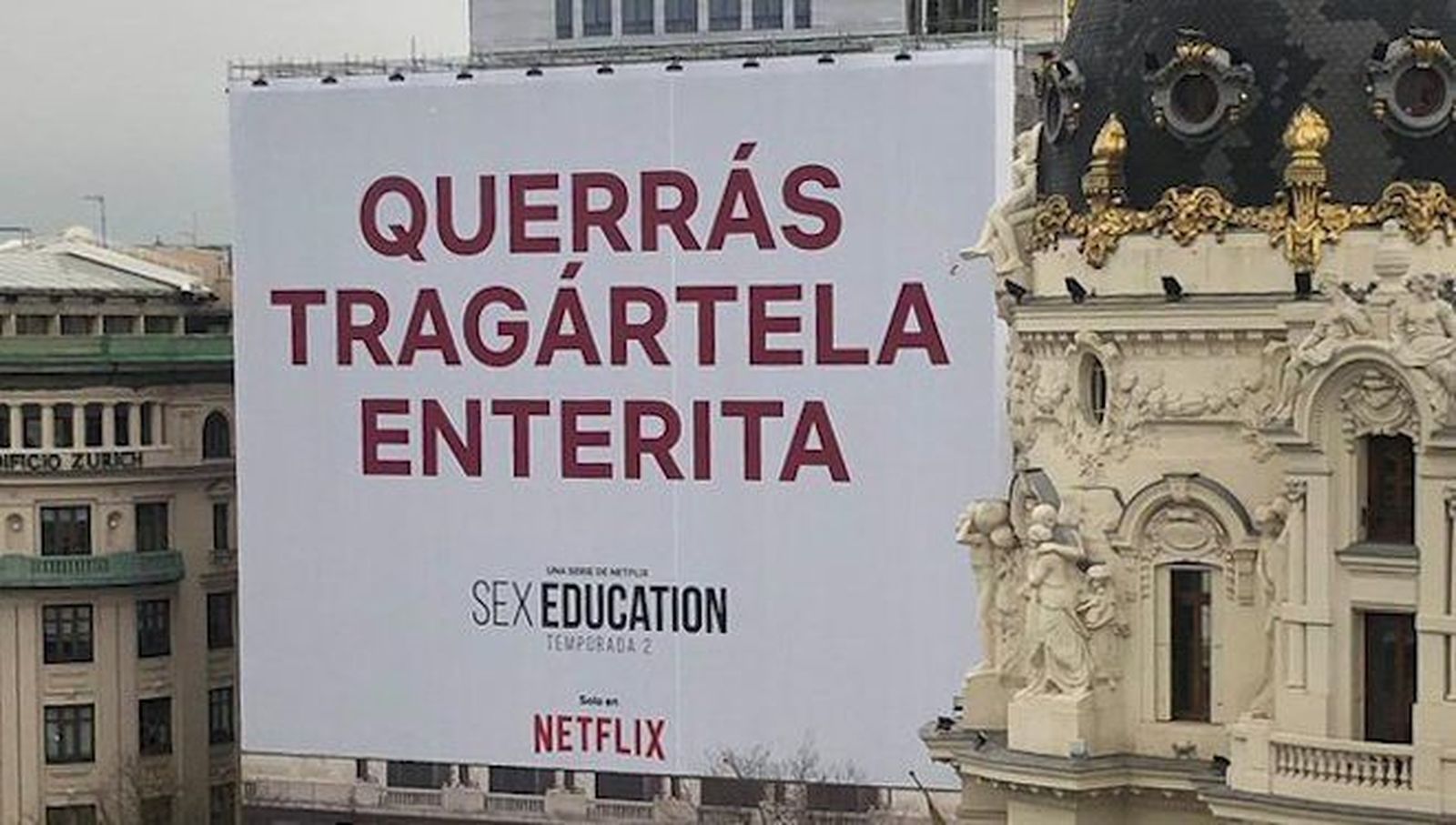 Netflix cartel
