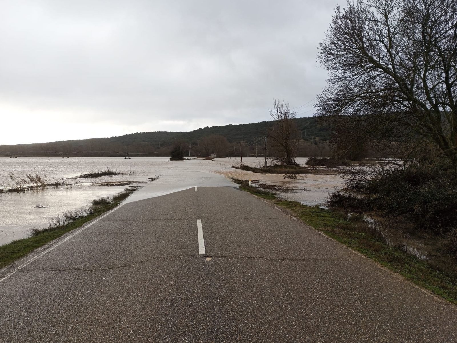 Cortadatramo de Granja de Florencia a la N-122