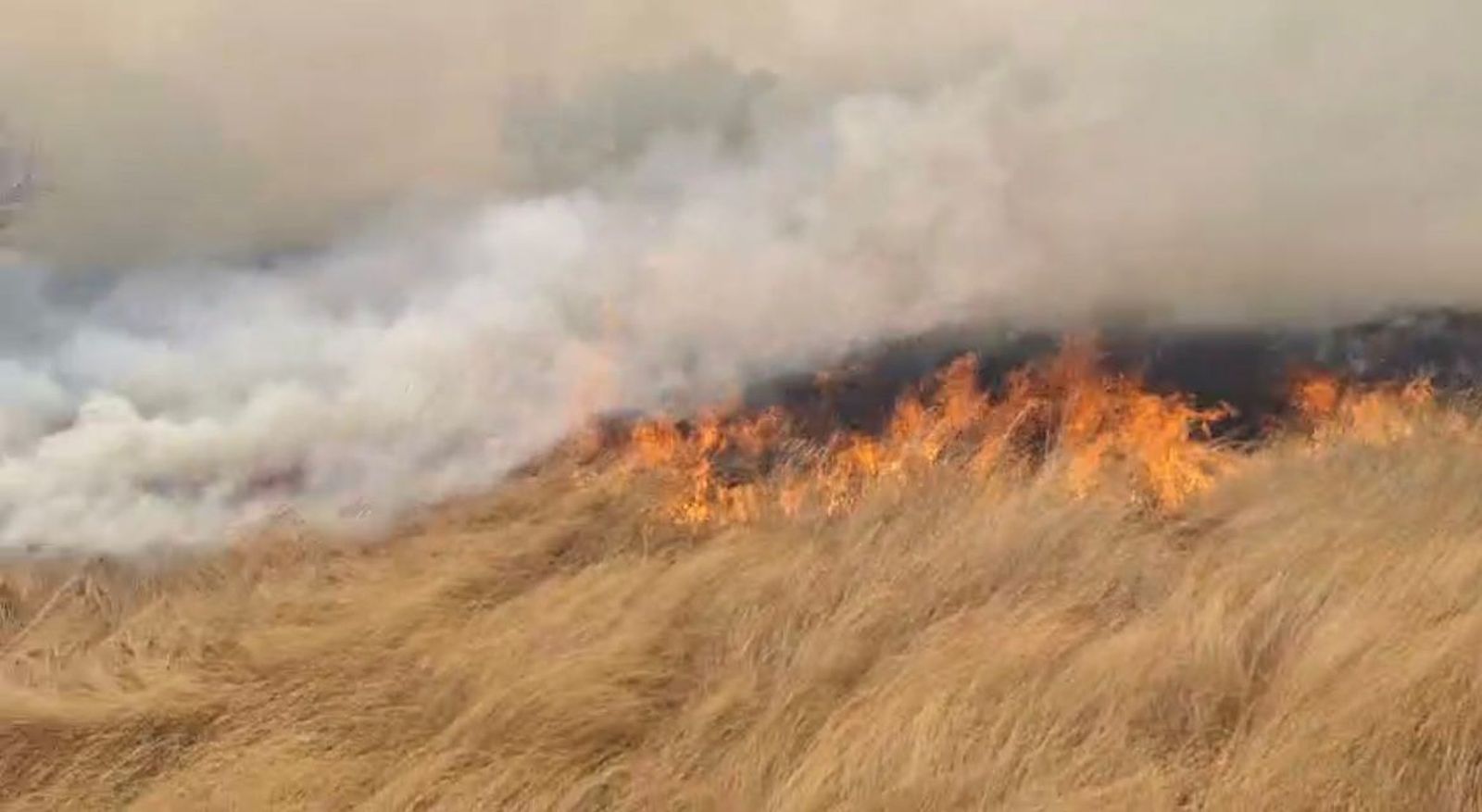Incendio de nivel 1 en Moronta