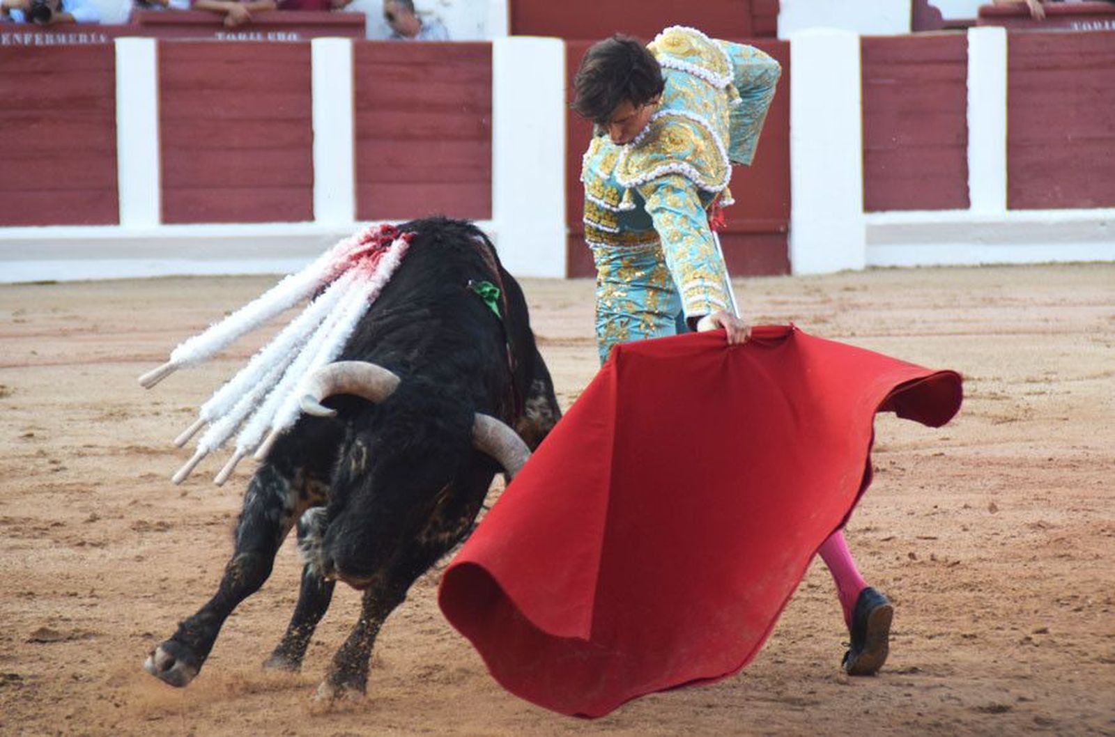 Roca rey toros zamora sanpedro18