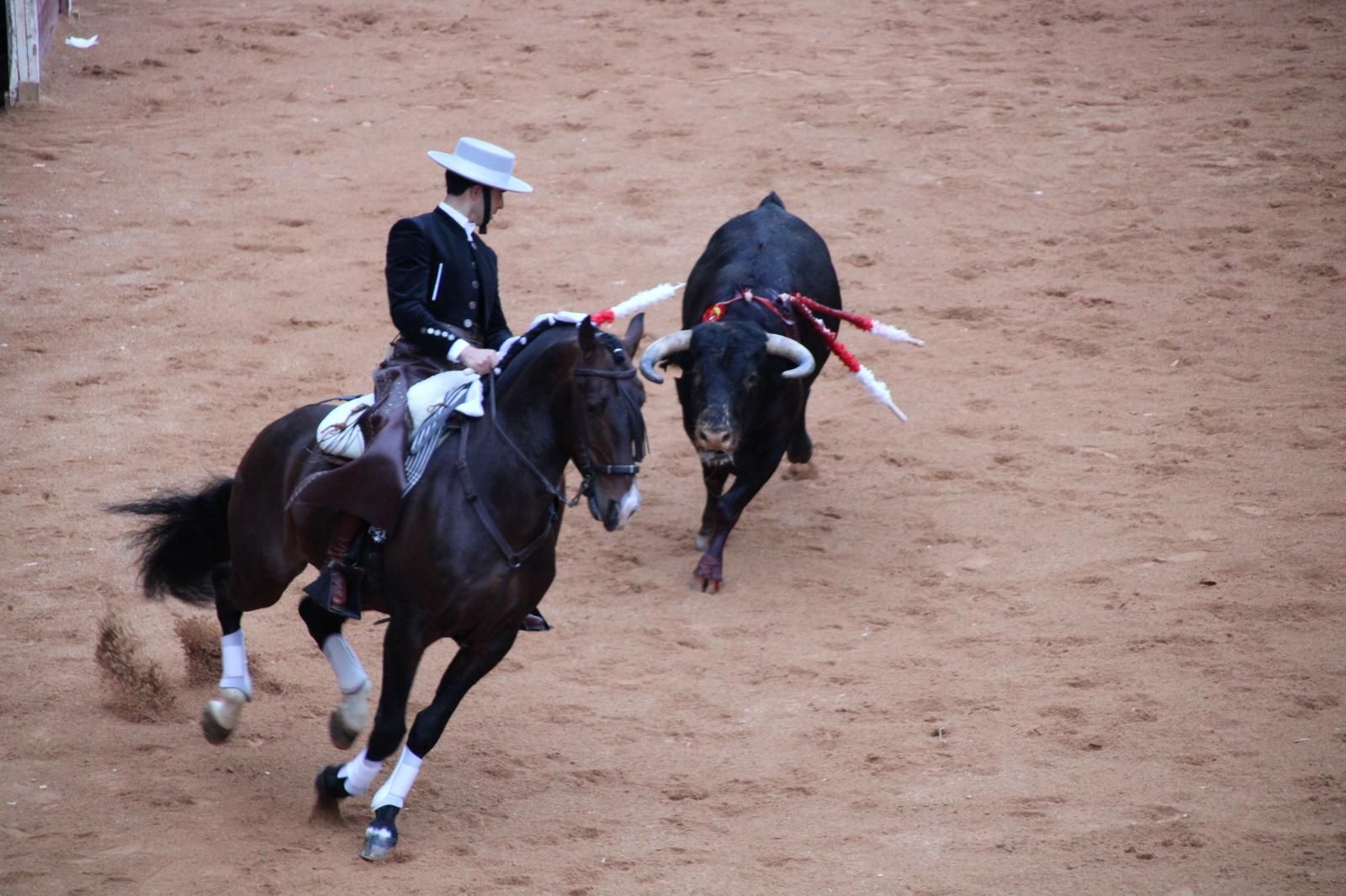 whatsapp-image-2025-03-02-at-18-56-05