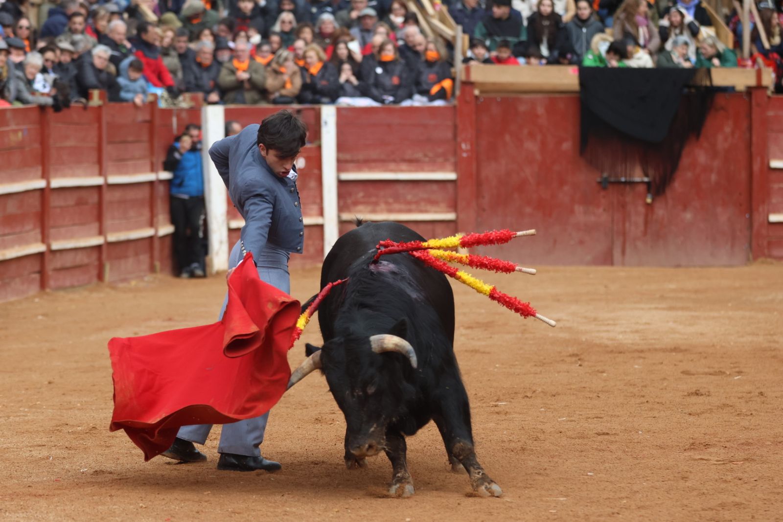 Novillada sin picadores del bolsín taurino y rejones en Ciudad Rodrigo