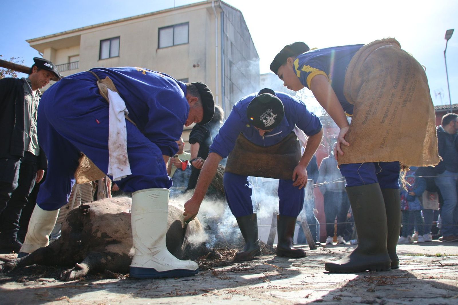 20240217134957-img-6911