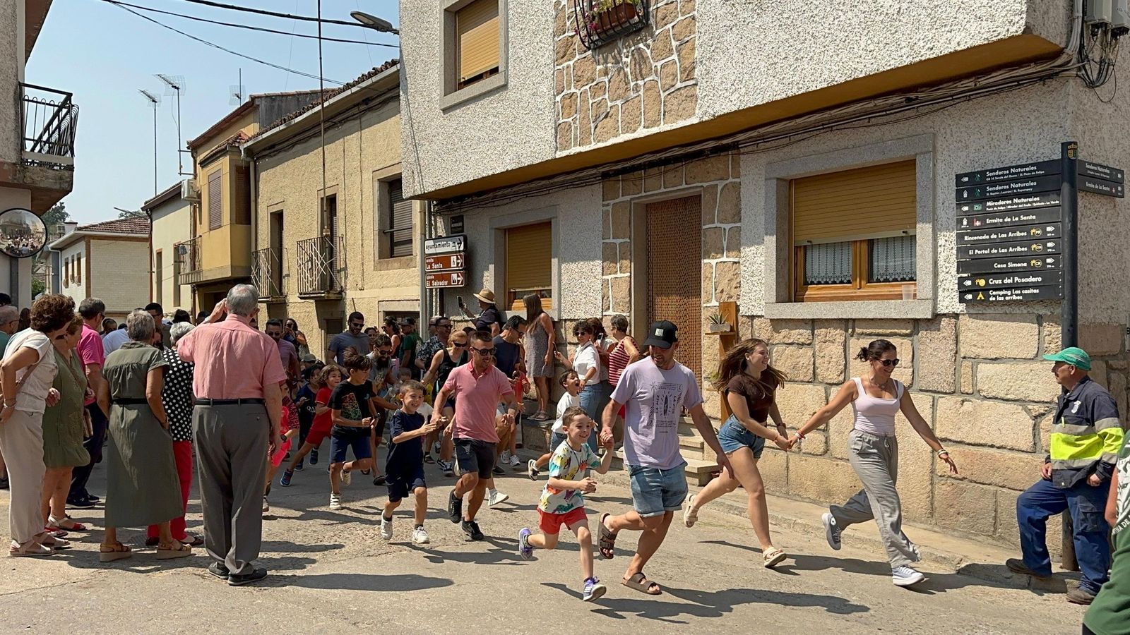 Mini bueyes en Aldeadávila