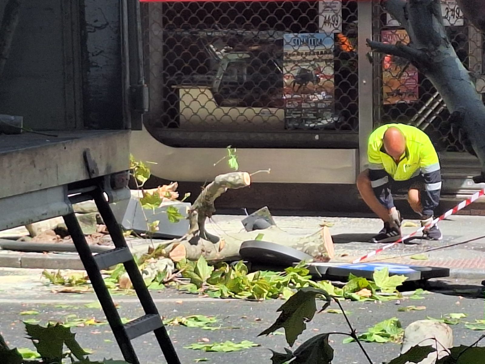 Un árbol cae sobre varios coches en Torres Villarroel