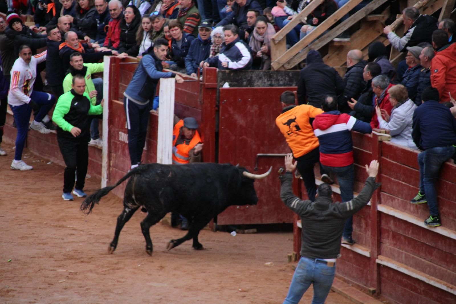 toro-del-aguardiente-en-ciudad-rodrigo-carnaval-24-18