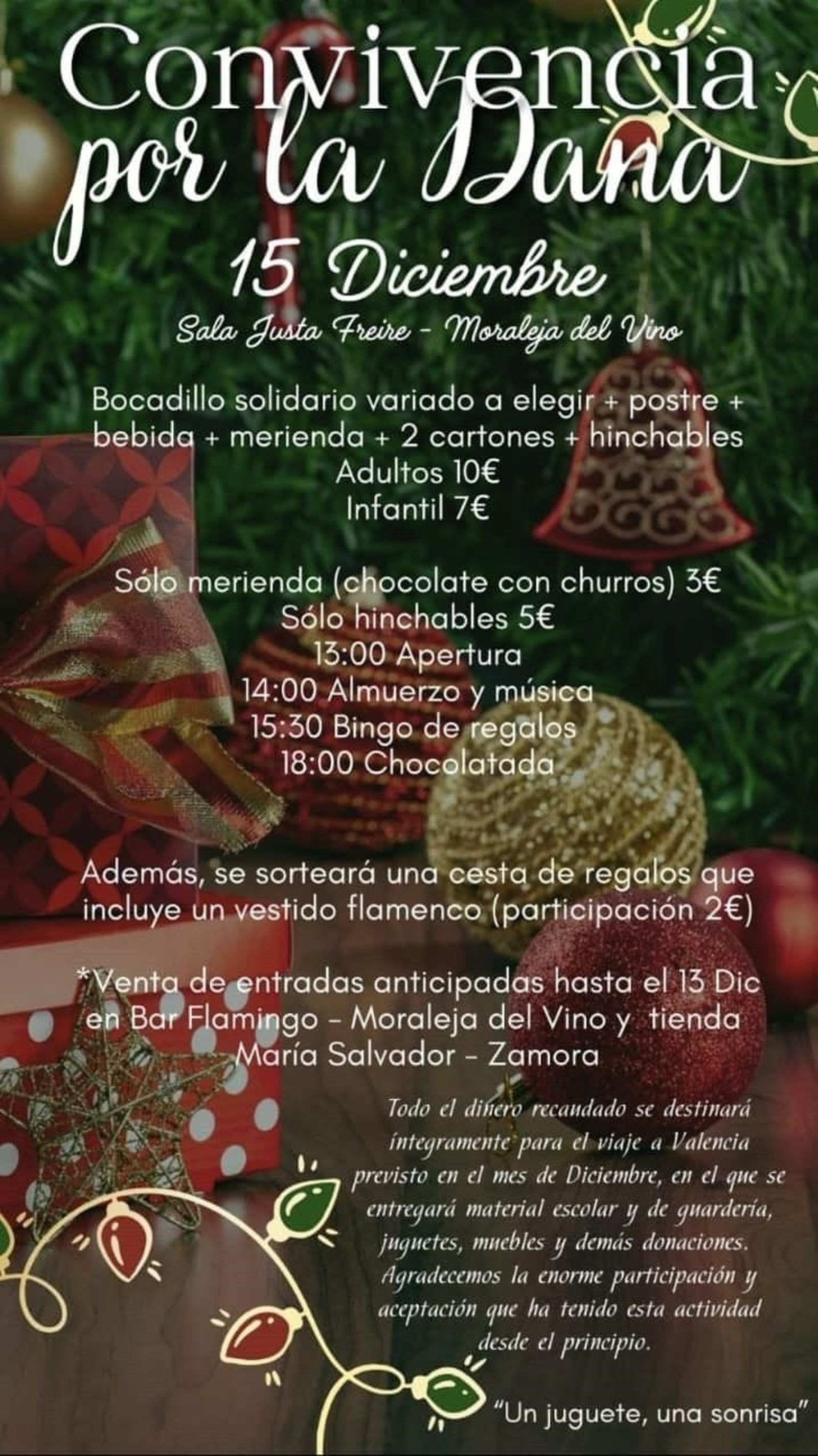 WhatsApp Image 2024 11 27 at 18.19.24