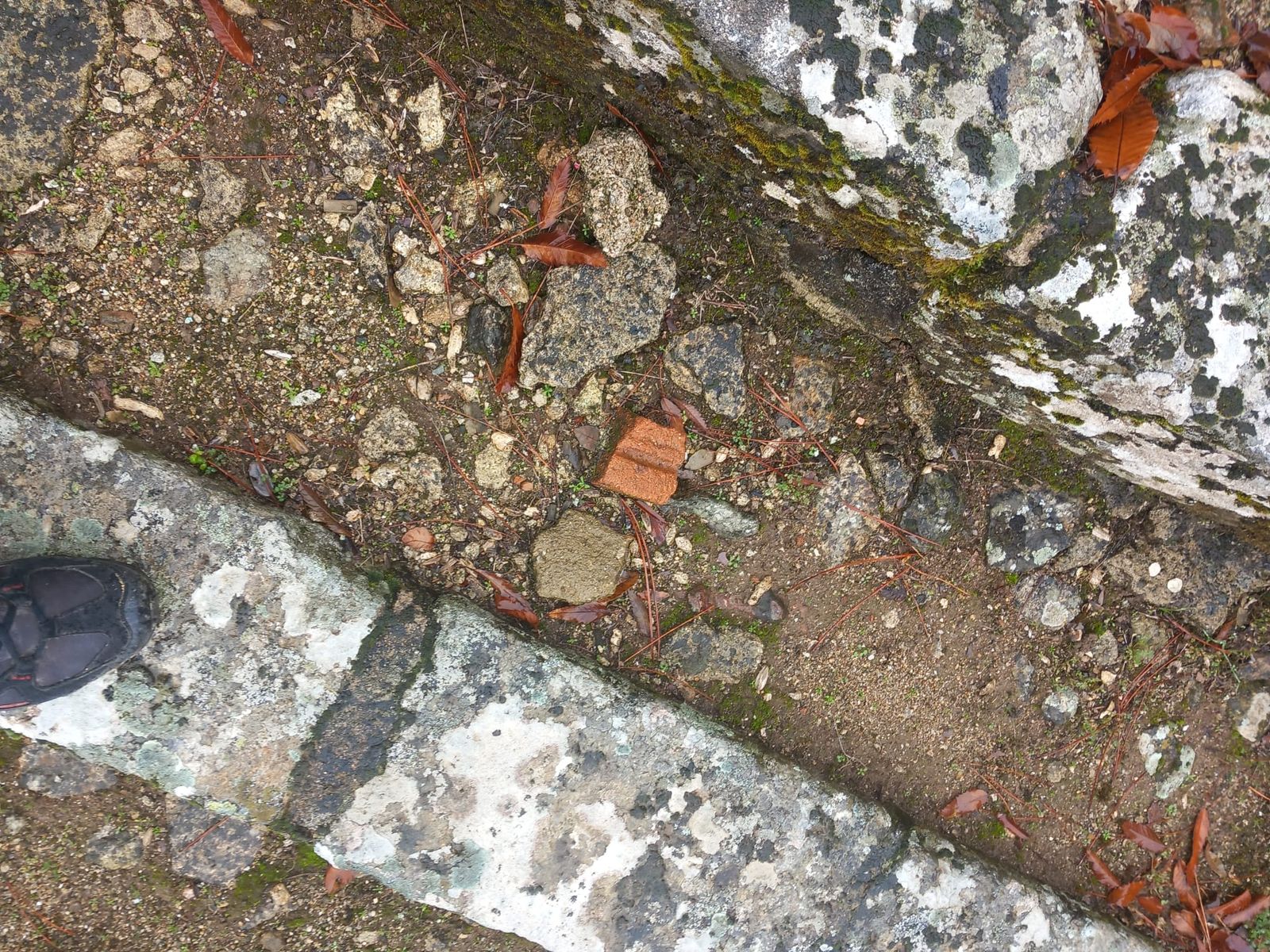 Plaza de Toros La Ancianita de Béjar  (25).jpeg