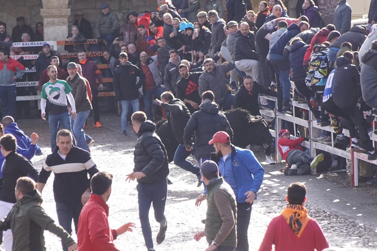 ambiente-encierro-urbano-lunes-de-carnaval-en-ciudad-rodrigo-12-de-febrero-de-2024-fotos-s24h-28