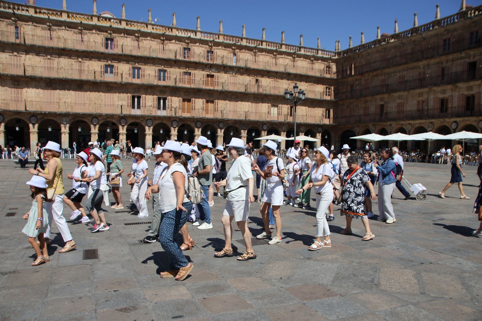 Flashmob de la AECC