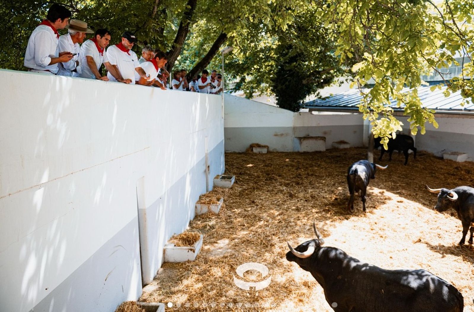 Encierro de Miura para Damián Castaño en Pamplona