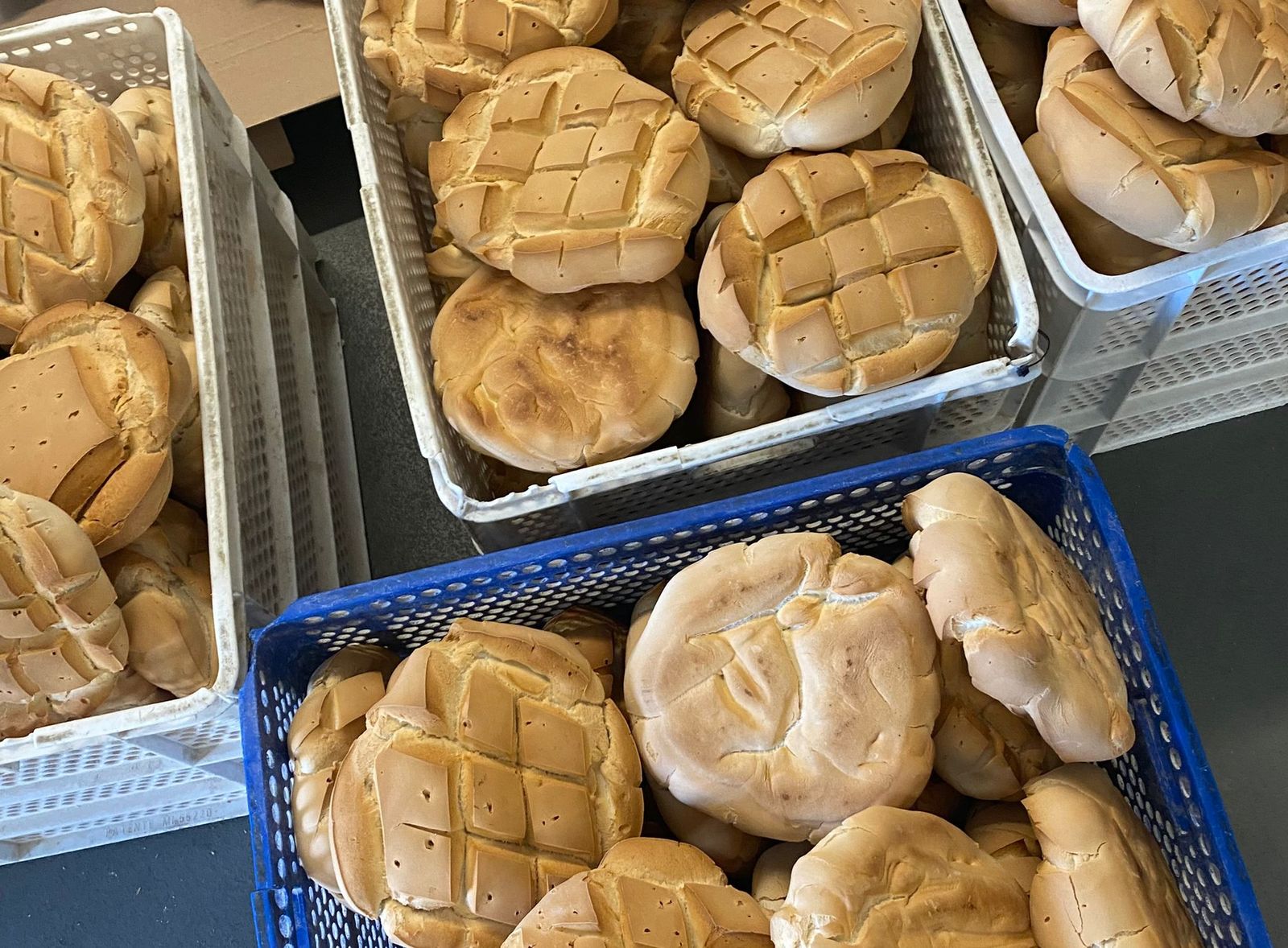 whatsapp-image-2022-04-10-at-6-54-50-pm