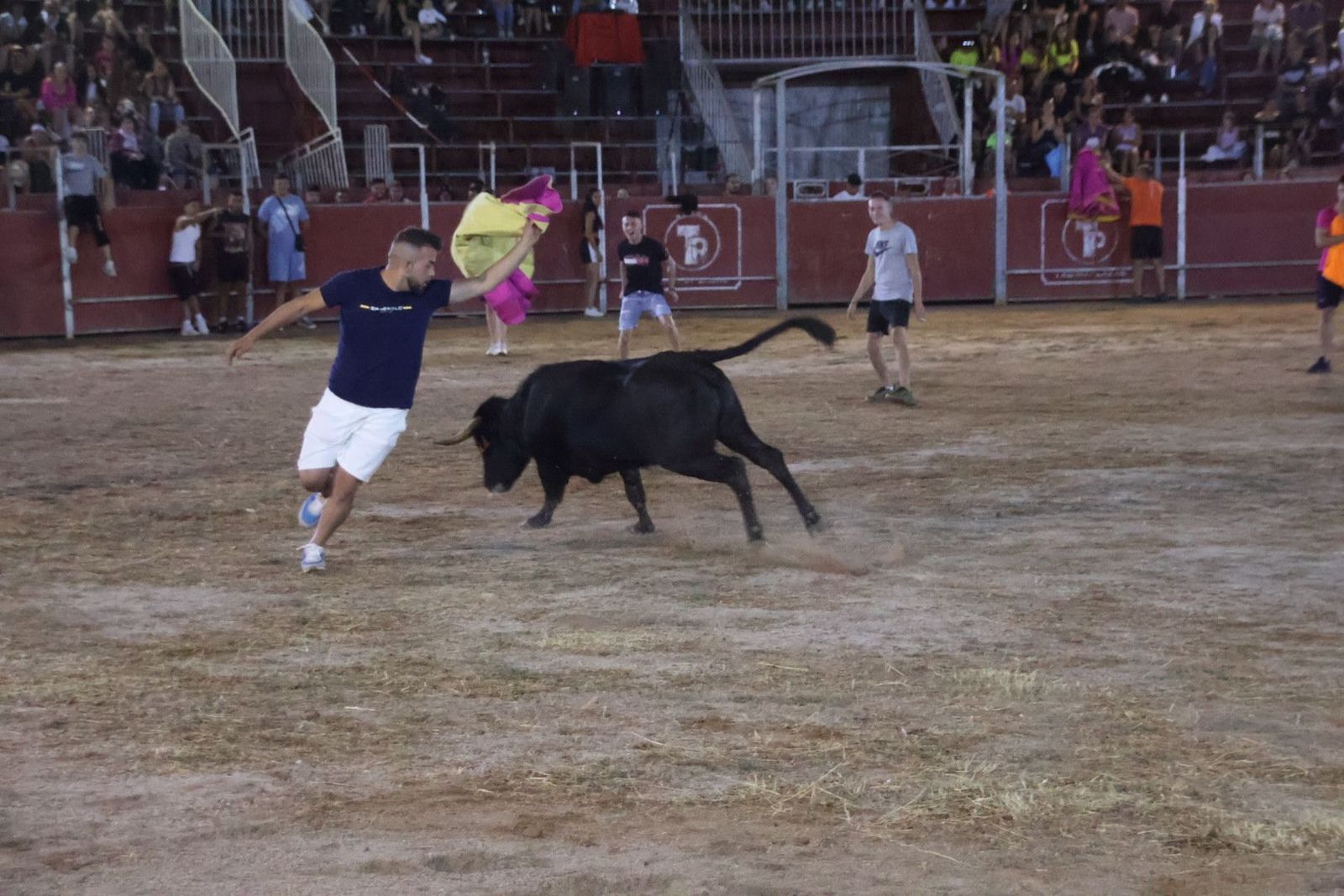 20240815212250-img-3725