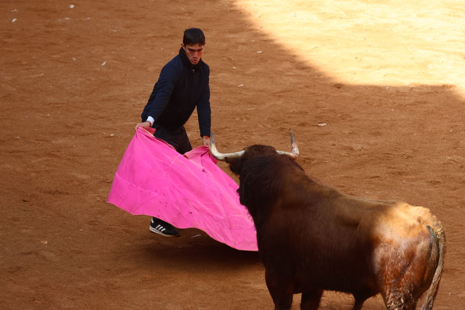Capea de mañana en el martes del Carnaval del Toro de Ciudad Rodrigo