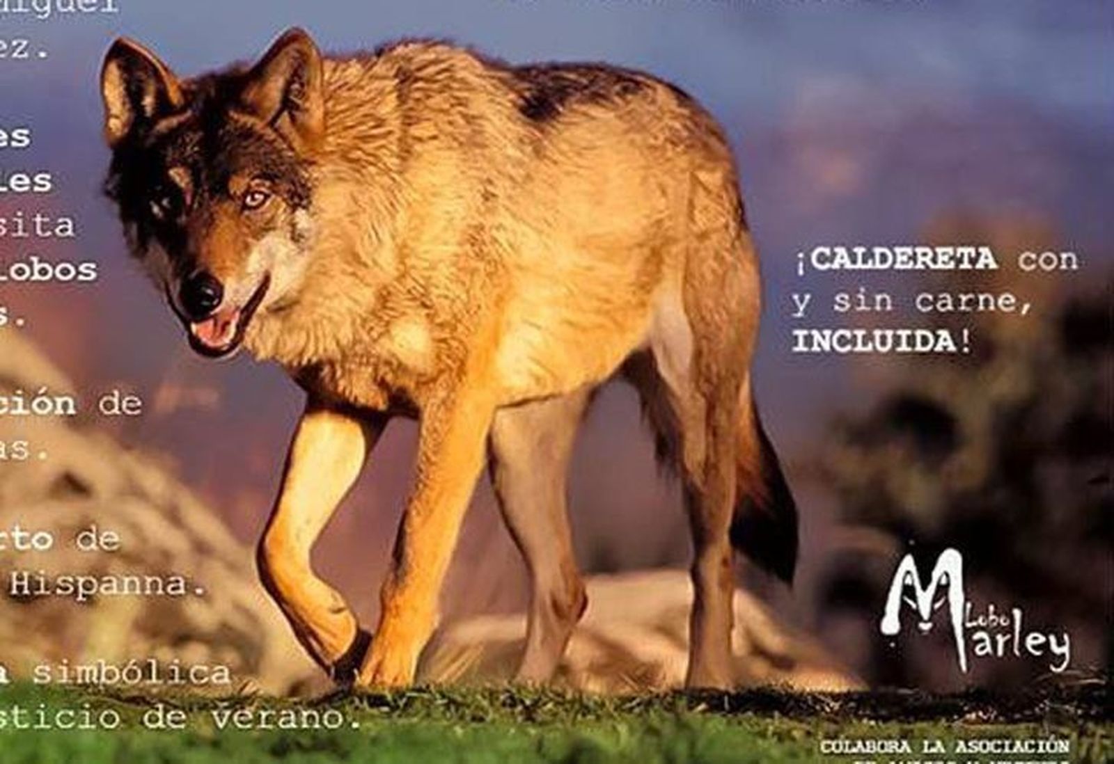 Lobo Marley lanza un sello para alimentos producidos con el compromiso de conservación del lobo