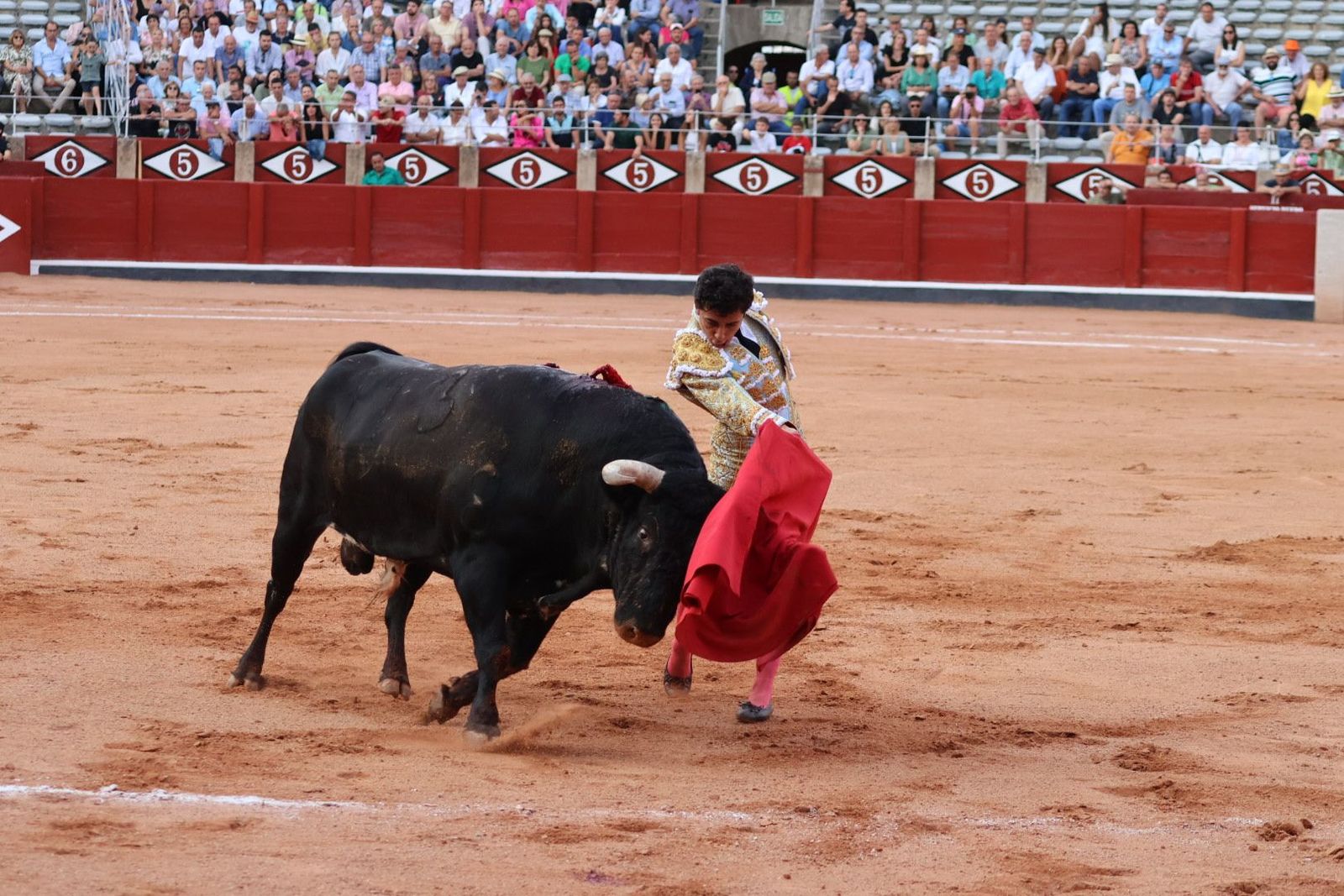 20230910185955-img-2209